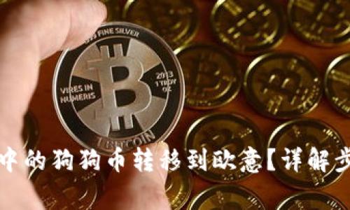 如何将TP钱包中的狗狗币转移到欧意？详解步骤与注意事项
