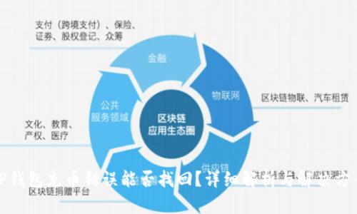 TP钱包充币错误能否找回？详细解析与解决方案