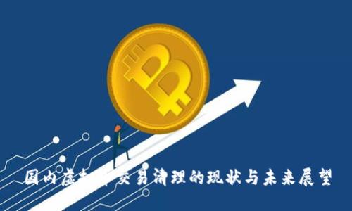 国内虚拟币交易清理的现状与未来展望