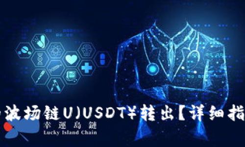 如何将TP钱包中的波场链U（USDT）转出？详细指南与常见问题解答