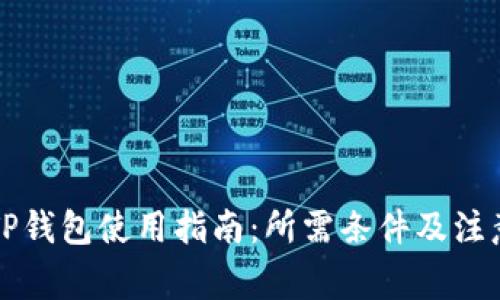 国内TP钱包使用指南：所需条件及注意事项