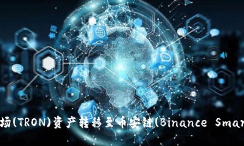 如何使用TP钱包将波场(TRON)资产转移至币安链(Binance Smart Chain)的详细指南