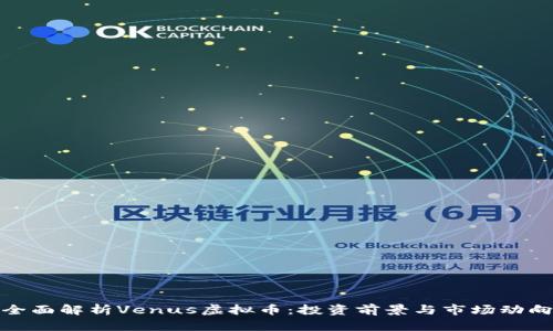 全面解析Venus虚拟币：投资前景与市场动向