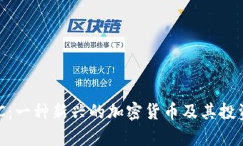 虚拟币SBC：一种新兴的加密货币及其投资前景分析