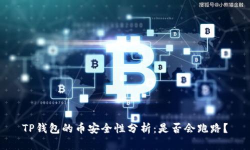 TP钱包的币安全性分析：是否会跑路？