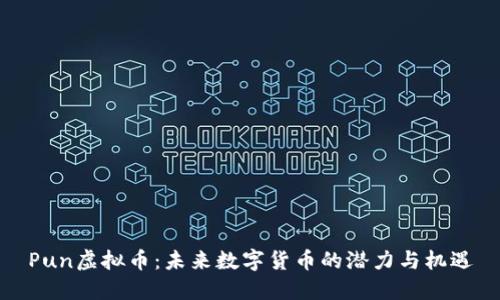 Pun虚拟币：未来数字货币的潜力与机遇