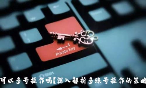  
TP钱包可以多号操作吗？深入解析多账号操作的策略与技巧