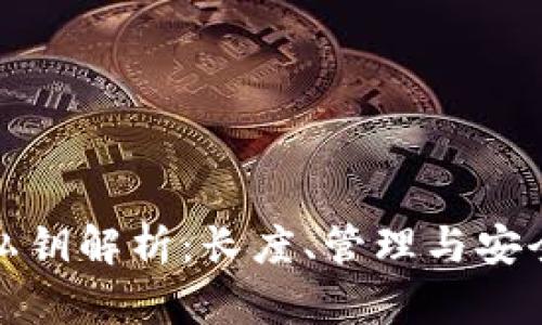 TP钱包私钥解析：长度、管理与安全性详解