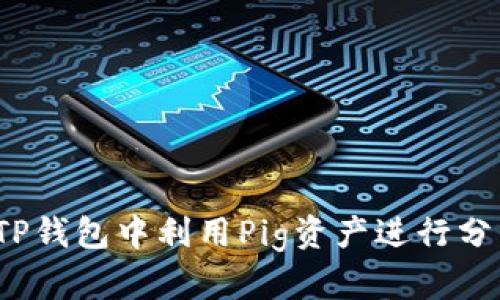 如何在TP钱包中利用Pig资产进行分红收益？