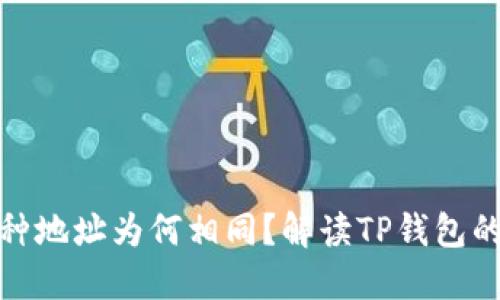TP钱包中不同币种地址为何相同？解读TP钱包的安全性与便捷性
