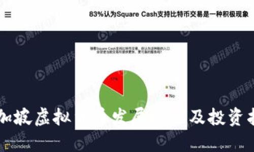 新加坡虚拟货币发展概况及投资指南