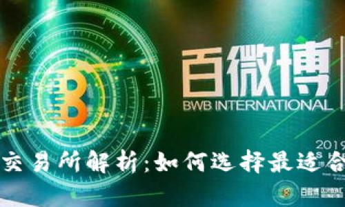 虚拟币钱包与交易所解析：如何选择最适合你的解决方案