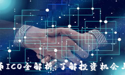   
虚拟币ICO全解析：了解投资机会与风险