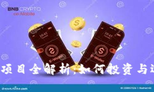 2023年虚拟币一级市场项目全解析：如何投资与选择前景优异的数字资产