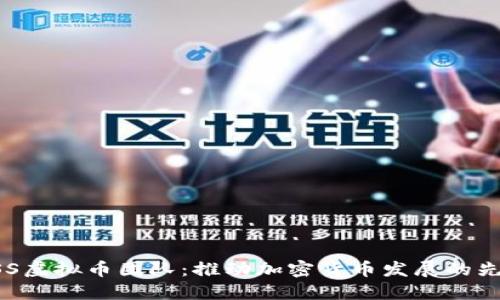 揭秘ASS虚拟币团队：推动加密货币发展的先锋力量