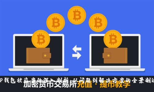 TP钱包被盗案的深入剖析：从问题到解决方案的全景剖述