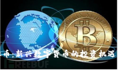 : CAM虚拟币：新兴数字货币的投资机遇与风险分析