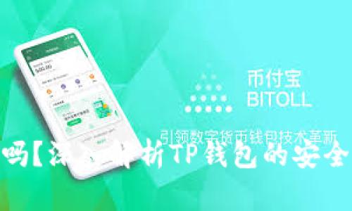 : TP钱包安全吗？深入解析TP钱包的安全性及防护措施