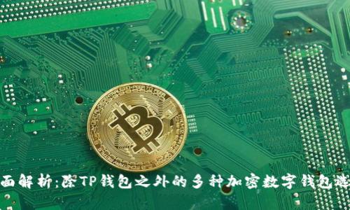 全面解析：除TP钱包之外的多种加密数字钱包选择