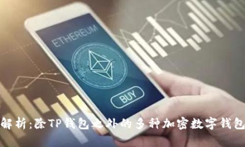 全面解析：除TP钱包之外的多种加密数字钱包选择