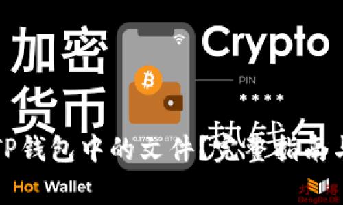 如何安全提取TP钱包中的文件？完整指南与常见问题解析