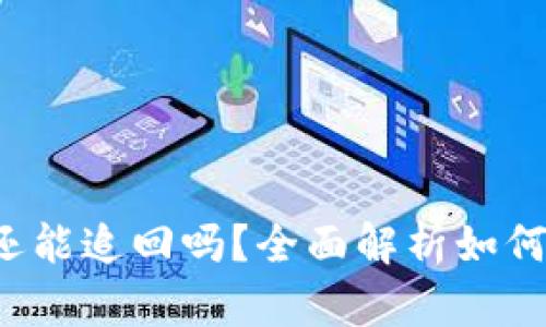  TP钱包币被盗后还能追回吗？全面解析如何保护你的数字资产