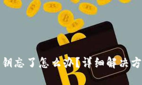 TP钱包密钥忘了怎么办？详细解决方案与技巧