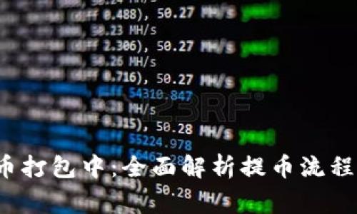  TP钱包提币打包中：全面解析提币流程与常见问题