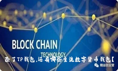 除了TP钱包，还有哪些主流数字货币钱包？