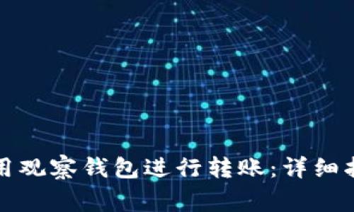 在TP钱包中如何使用观察钱包进行转账：详细指南与常见问题解答
