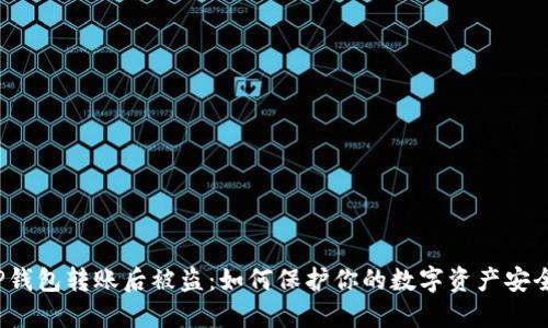 TP钱包转账后被盗：如何保护你的数字资产安全？