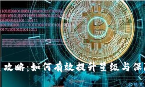 TP钱包升星攻略：如何有效提升星级与保障资产安全