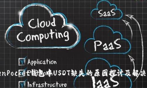 TokenPocket钱包中USDT缺失的原因探讨及解决方案