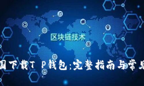 如何在中国下载T P钱包：完整指南与常见问题解答