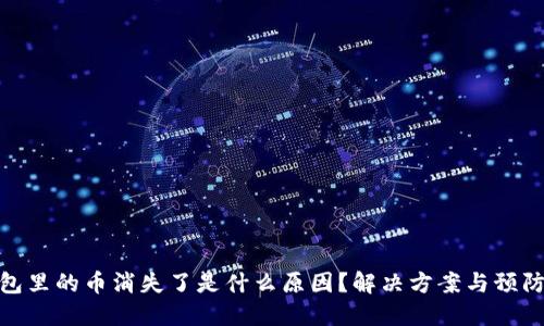 TP钱包里的币消失了是什么原因？解决方案与预防措施