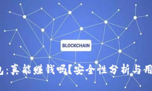 t p钱包：真能赚钱吗？安全性分析与用户反馈