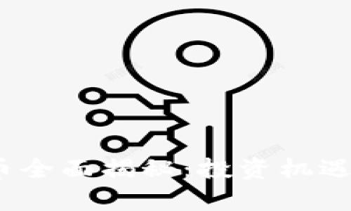 BTMF虚拟币全面揭秘：投资机遇与风险分析