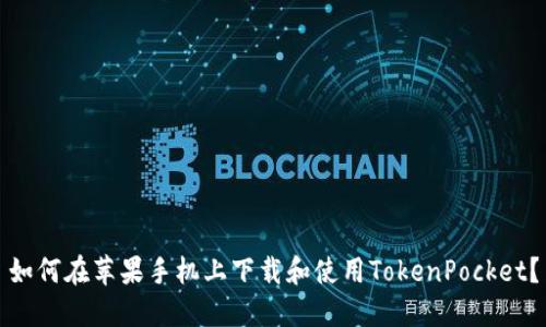 如何在苹果手机上下载和使用TokenPocket?