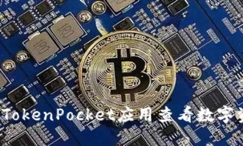 如何使用TokenPocket应用查看数字资产余额？